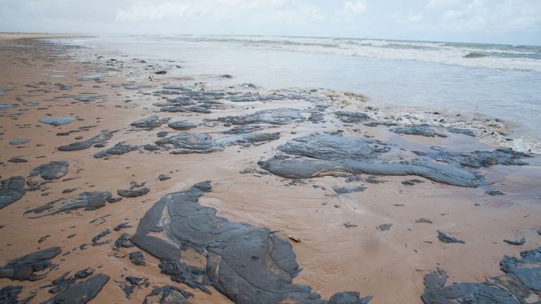 Consumidor pode remarcar viagem a praias atingidas por mancha de óleo