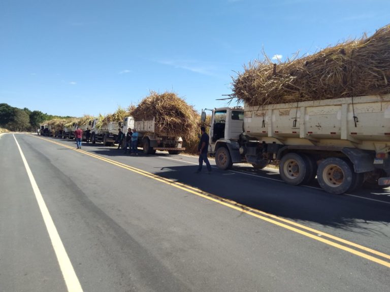 Incentivos aos produtores rurais minimizam impactos causados pela estiagem em Presidente Kennedy