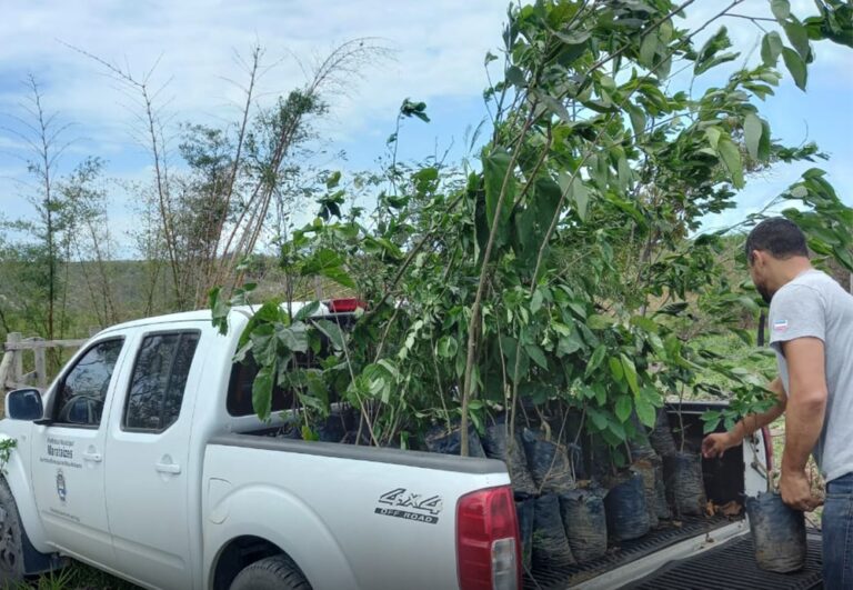 Marataízes celebra a Semana da Árvore com plantio de mudas frutíferas e nativas